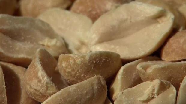 [TLMD - MIA] Anuncian tratamiento para prevenir reacciones alérgicas del maní