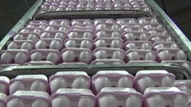 [TLMD - NY] Advertencia por salmonella