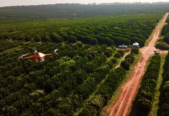 SeeTree recauda $ 11.5M para ayudar a los agricultores a manejar sus huertos
