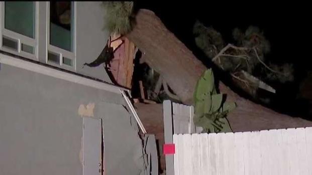 [TLMD - SD] Pareja muere aplastada por un árbol