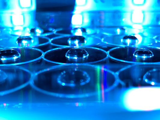 Al reducir el costo de preservar el material genético, Acorn Biolabs recauda $ 3.3 millones