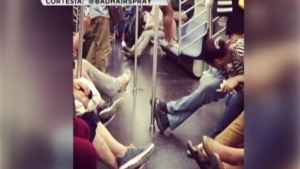 [TLMD - NY] Histérica mujer y ratón protagonizan “dramática” escena