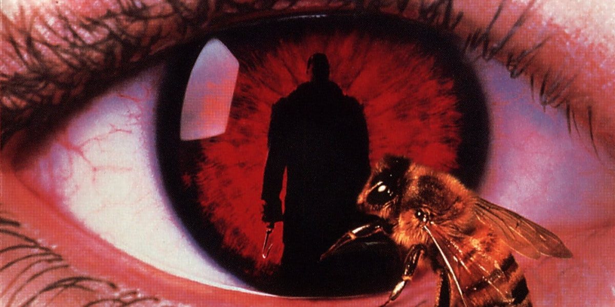 Candyman Reboot Según se informa Ojos Lakeith Stanfield para protagonizar