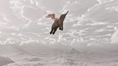 Cloudera y Hortonworks finalizan su fusión.