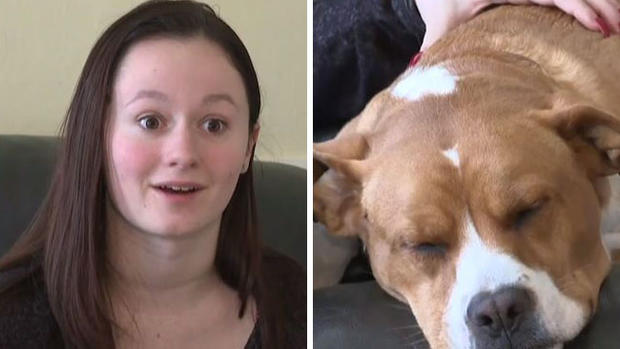 Perro se convierte en la salvación de joven alérgica “a todo”