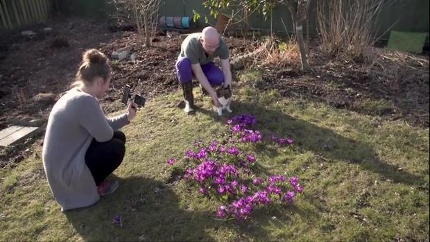[TLMD - MIA] Gato con extraña apariencia se vuelve un ícono en su país