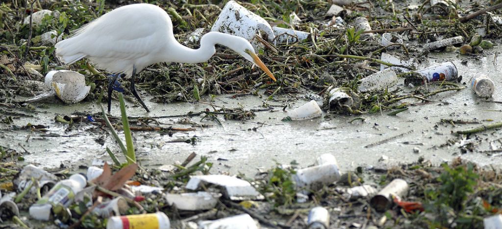 En 2025, por cada tres toneladas de peces habrá una de plástico en océanos