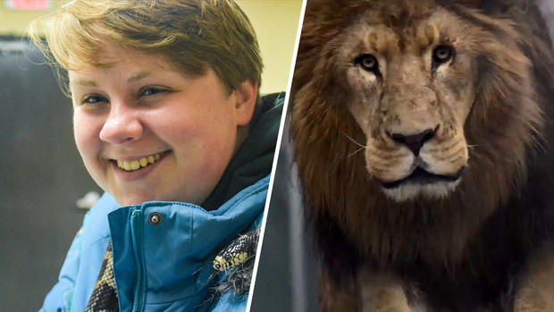 [TLMD - VIDEO] Sangriento ataque: león escapa y mata a una joven