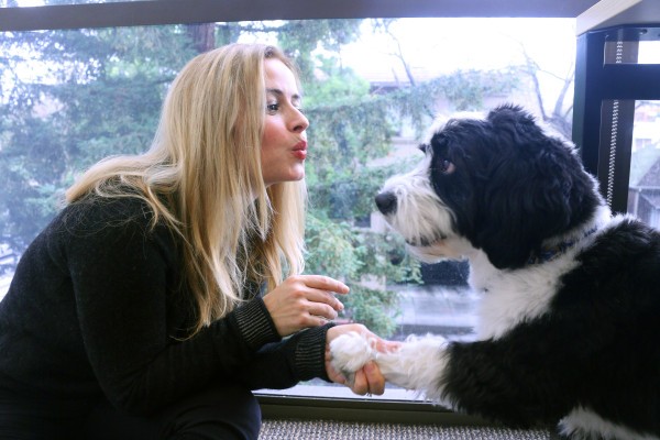 La nueva empresa de tratamiento contra el cáncer de perros recauda $ 5 millones de Andreessen Horowitz y otros