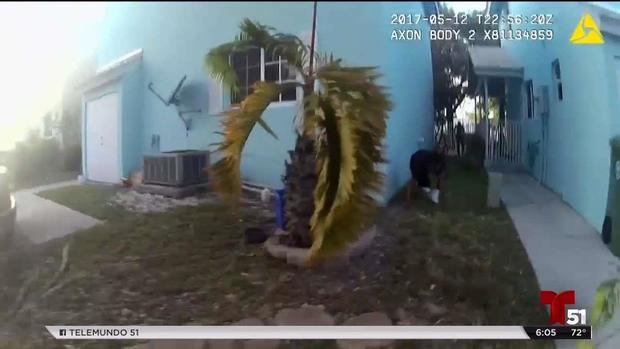 [TLMD - MIA] Policías investigados por exceso de brutalidad policial