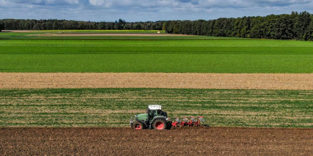 Una aplicación podría ser la clave para salvar cultivos de plagas y patógenos