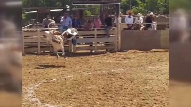 [TLMD - Dallas] ¿Por qué algunos disfrutan del jaripeo?