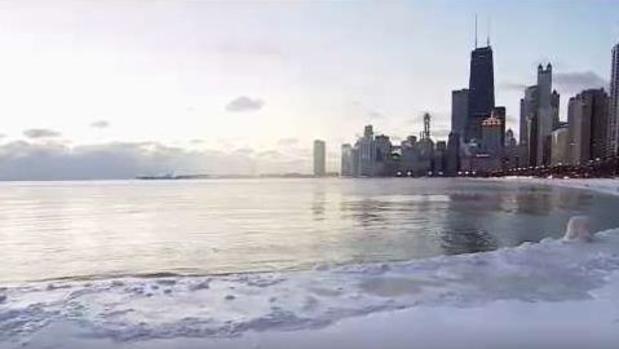 Ola de frío obliga a proteger a oso polar en zoológico