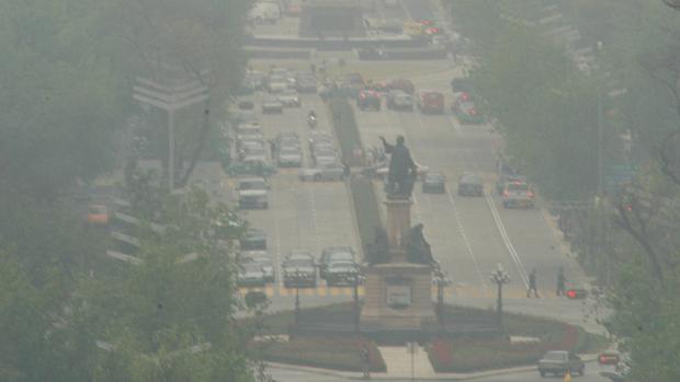 Inteligencia y Alzheimer, asociados a la contaminación