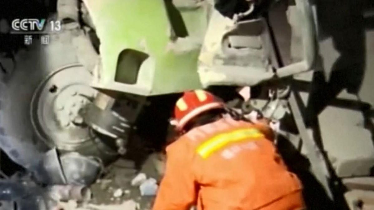 [TLMD - LV] Captado en video; niña cae a jaula de los osos panda