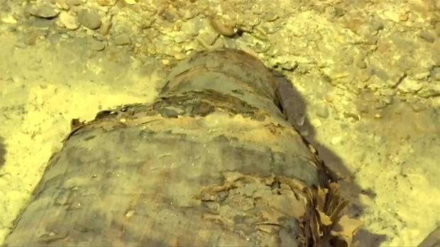 [TLMD - LV] Hallan tumba con 50 momias adentro