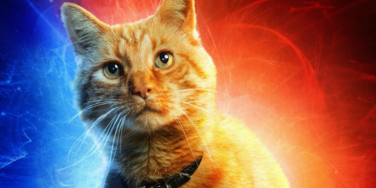 Los directores de Captain Marvel explican por qué el nombre de Goose es diferente a los cómics