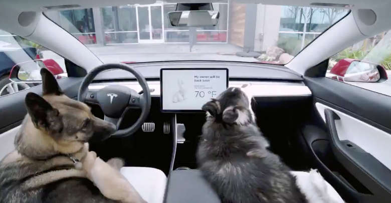 Tesla lanza el modo Centinela y el Modo Perro al Modelo 3