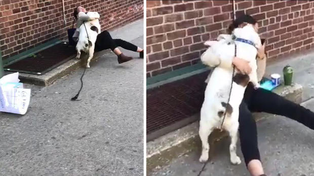 [TLMD - NATL] Viral: emboscada de amor perruno a representante Ocasio-Cortez