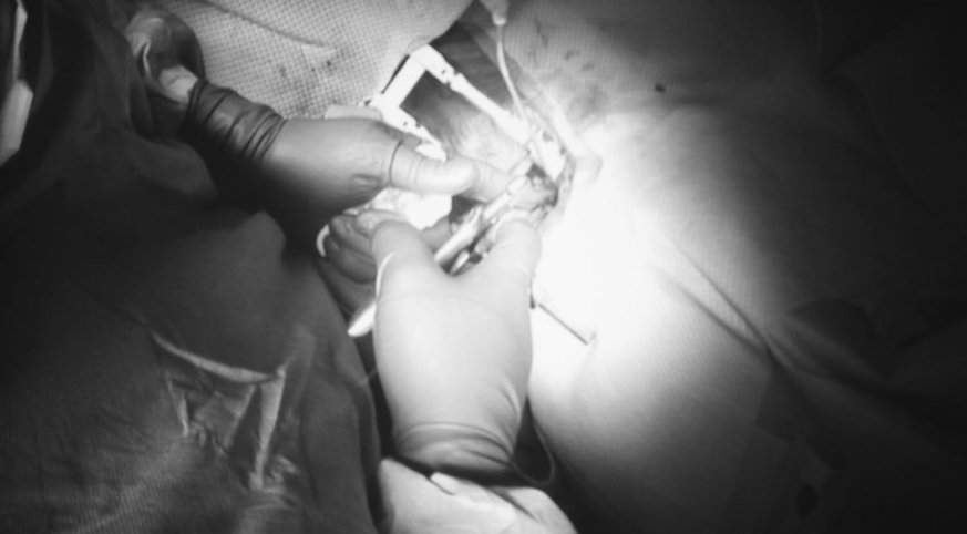 Captura de pantalla 2019-03-08 a las 1.49.02 PM Captura de pantalla 2019-03-08 a las 1.49.02 PM