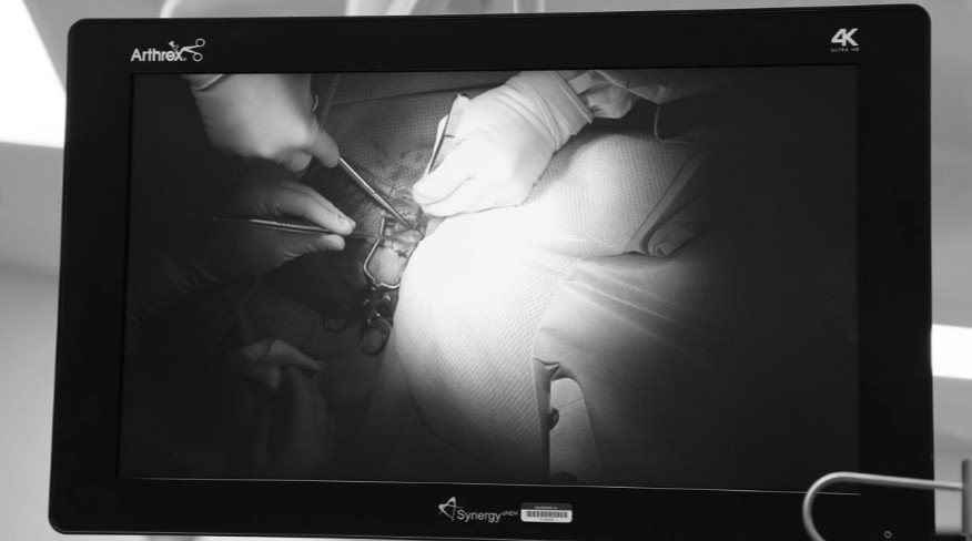 Captura de pantalla 2019-03-08 a las 1.48.52 PM Captura de pantalla 2019-03-08 a las 1.48.52 PM