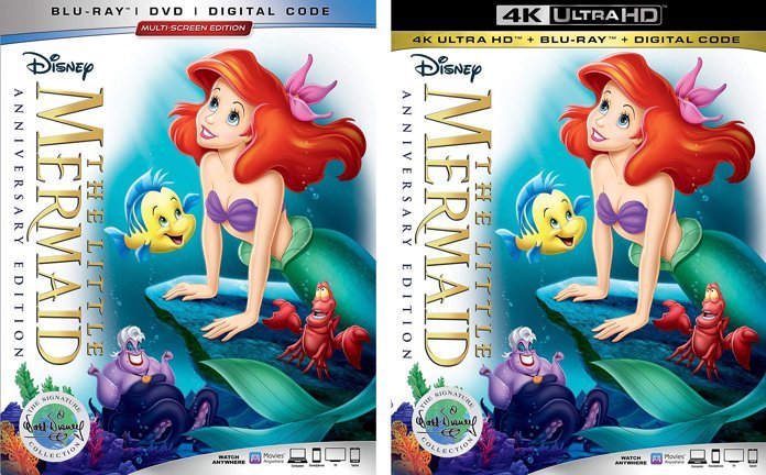 los pequeños rayos de sirena los pequeños rayos de sirena