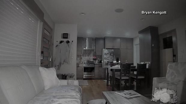 Osos se meten a una casa y revisan el refrigerador