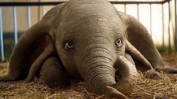 Dumbo Sneak Peek Dumbo Sneak Peek