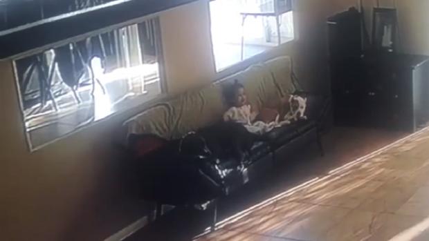 [TLMD - LV] Acto de ternura: bebé arrulla a pitbulls tras dejarla sola