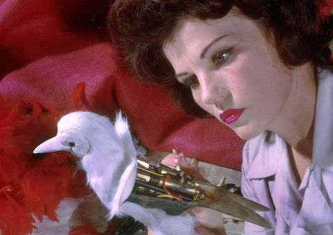 Pájaros 'tiki tiki'