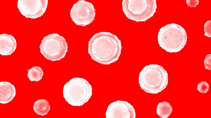 ¿Quieres saber dónde están surgiendo las epidemias en todo el mundo? Metabiota tiene la herramienta para ti.