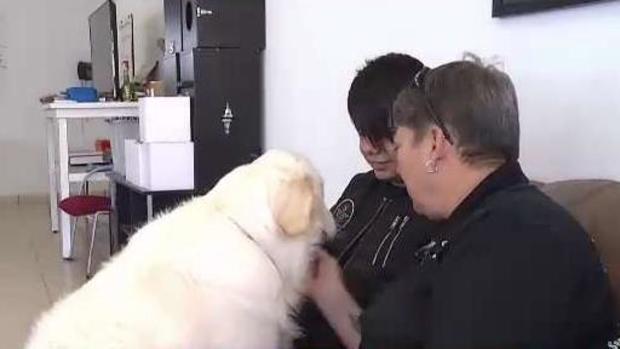 [TLMD - PR] Eidel y Charlie: piden ayuda para esta linda amistad