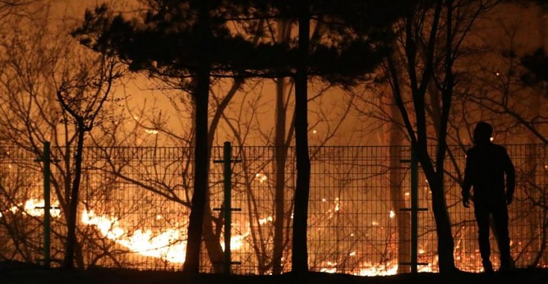 Corea del Sur declara emergencia nacional por incendio forestal
