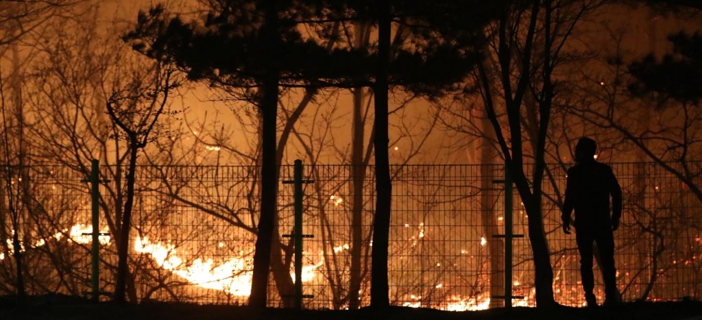 Corea del Sur declara emergencia nacional por incendio forestal