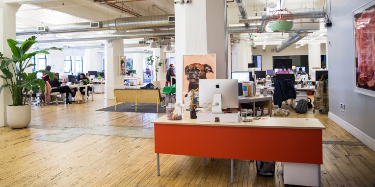 Experto Verificado Diseñador de la marca: cuerno rojo