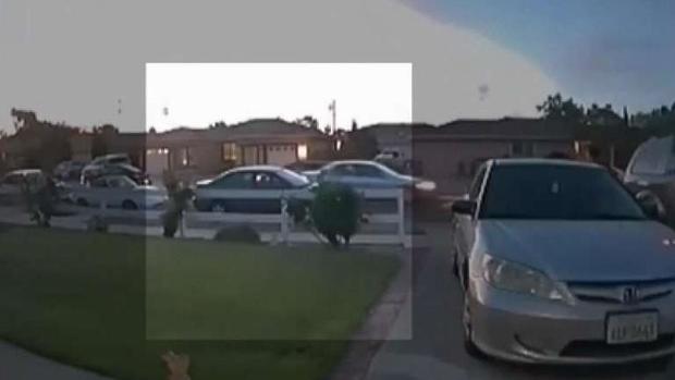 [TLMD - Bahia] ¿Cuáles son las consecuencias si huyes de la escena de un accidente? 