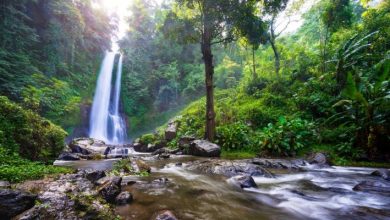 Jungle Ventures alcanza el primer cierre de $ 175 millones en su tercer fondo para el sudeste asiático