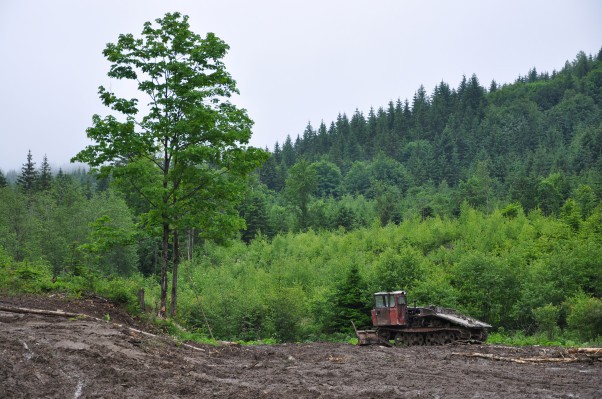 Green New Deal no va lo suficientemente lejos