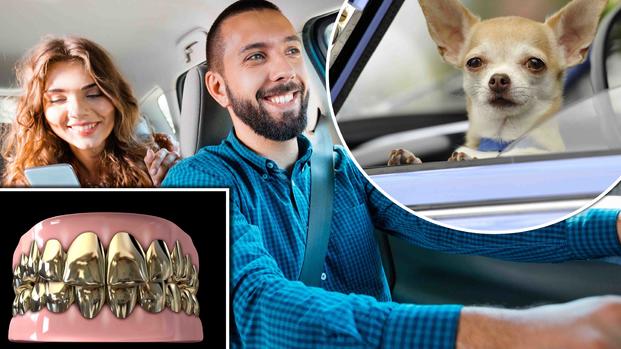 De un salmón a un chihuahua: lo más insólito que se dejó olvidado en un Uber