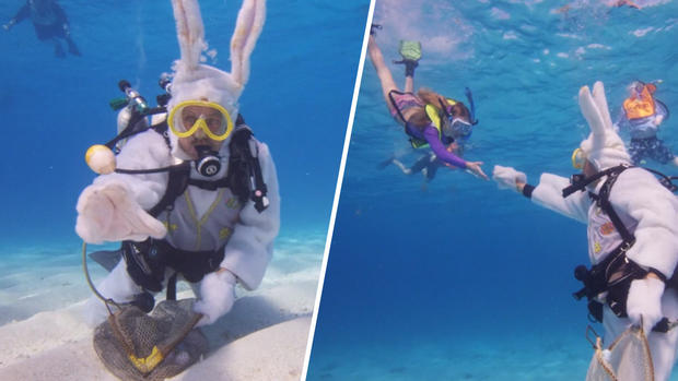 Pascua “mojada”: conejo submarinista se roba el show