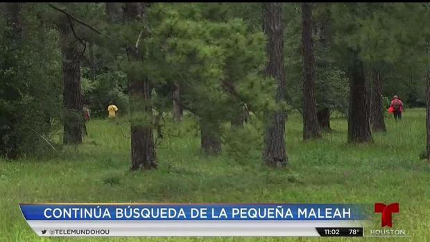 [TLMD - Houston] Sigue búsqueda de la pequeña Maleah al norte de Houston