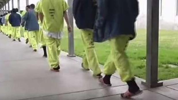 Demandan al gobierno de Trump por negar fianzas