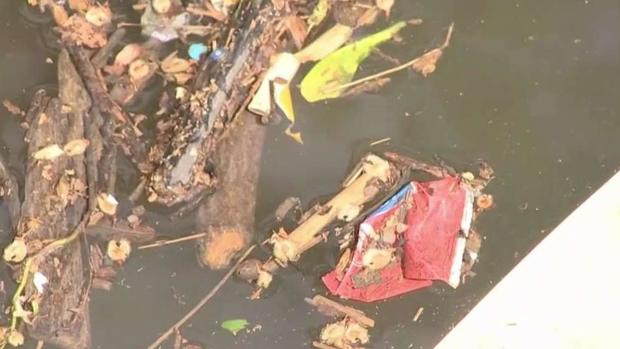 Alerta verde: contaminación por plástico en río Anacostia