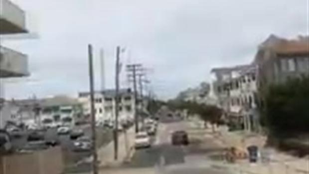 [TLMD - LV] Mapache alpinista se lanza de edificio