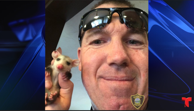 [TLMD - Nacional-LV] Policía conmovido en "arresto" de animalito huérfano, mira lo que hizo después