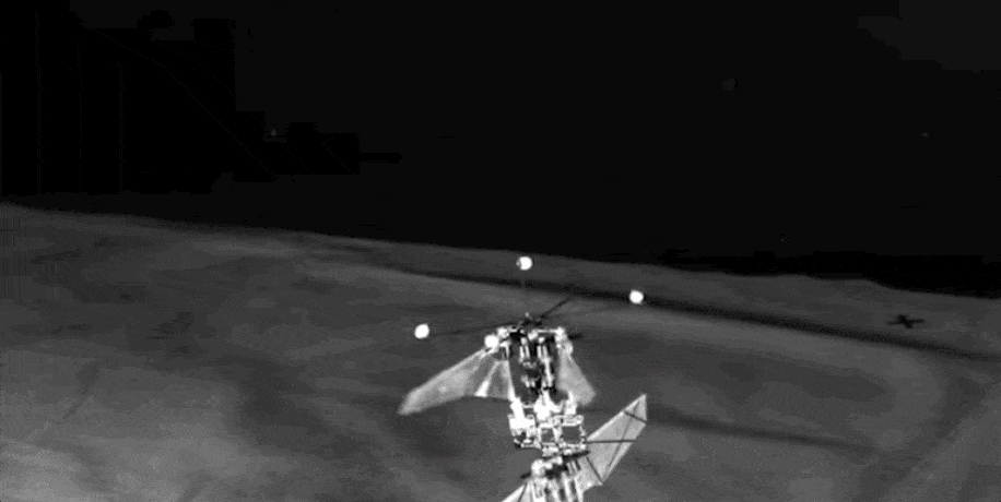 Hummingbird Robots 1, Drones 0