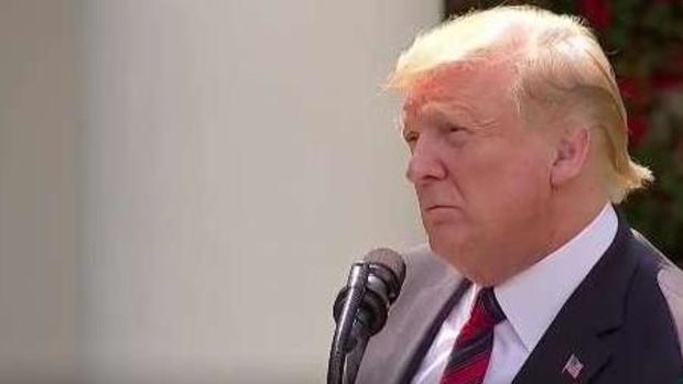 Trump: sistema migratorio actual no prioriza a los mejores