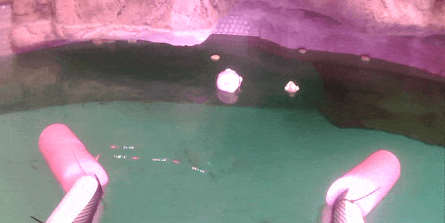 Puede conducir este robot de basura con solo una conexión a Internet