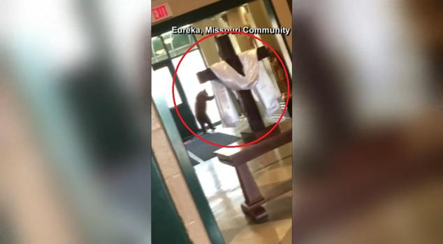 [TLMD - NATL] Oso salta desesperado, a pasos de la cruz en una iglesia