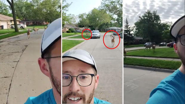 [TLMD - NATL] Viral: perseguido por “sospechosos” decide grabarse corriendo